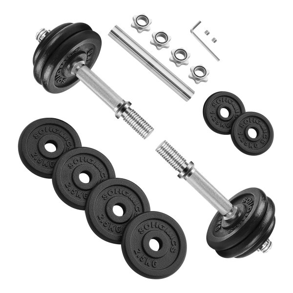 Halterset, Gietijzeren dumbbells, Verstelbare halterset, 20 kg/30 kg, met verbindingsbuis, voor heren Dames Workout Fitness Training Gewichtheffen, voor thuisgymnastiek