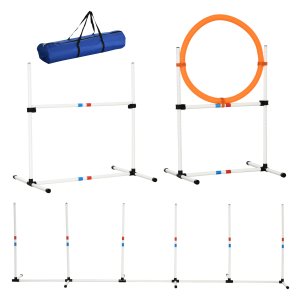Hondenbehendigheid – Training Fun - Makkelijk mee te nemen – Plastic - Wit en geel