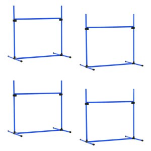 Hondentraining - AgilityBox - Hindernissen - Plastic - Blauw