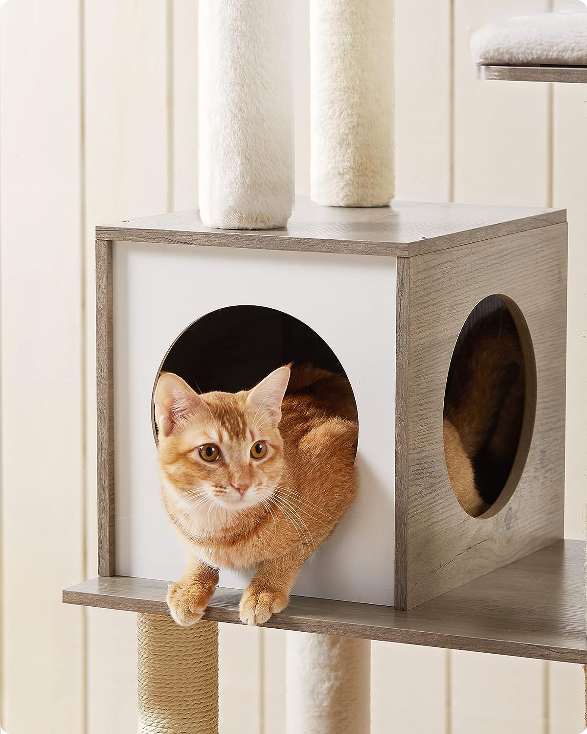 Moderne Klassieke Kattentoren Appartement Pluche Kattenboom Van De Fabrikant Met