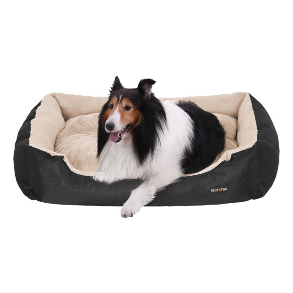 HONDEN ALS HEBBEN CHALLENGES