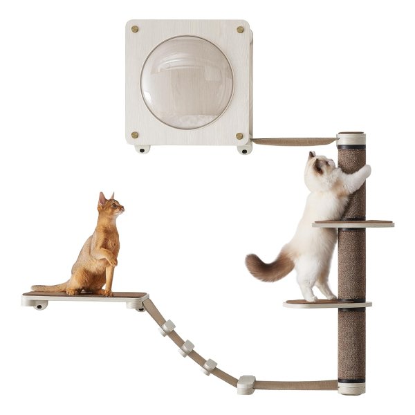 Klimwand voor katten, kattenmeubel, set van 5 stuks, hangmat, krabzuil, kattenmand, onderdelen verwisselbaar, wasbaar, havervlokkenbruin en koffiebruin