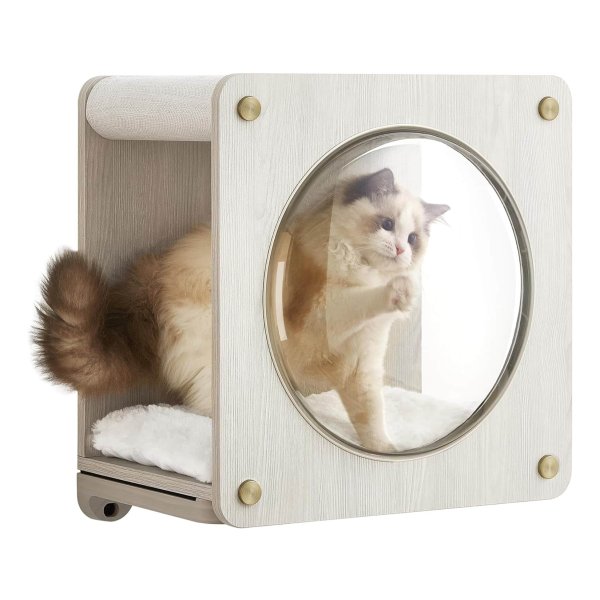Kattenmand, kattenhuiswand, klimwand, kattenmeubel, met kattenhangmat, raam, vervangbaar, wasbaar, ruimtebesparend, havermoutbruin