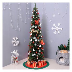 Kerstboom – - Spar - Spitse takken - Groen