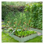 Klimhulp - GroenGigant - Voor planten - Stabiel - Groen