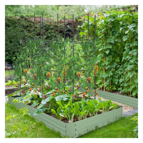 Klimhulp - GroenGigant - Voor planten - Stabiel - Groen