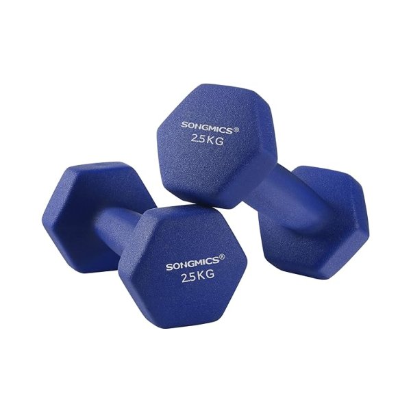 Set van 2 halters, 2 x 2,5 kg niet-slip gymnastiek Dumbbell met matte neopreen coating krachttraining Home Gym Blue