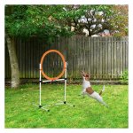 Hondentrainingsset – AgilityFun - Draagbaar – Springring - Wit