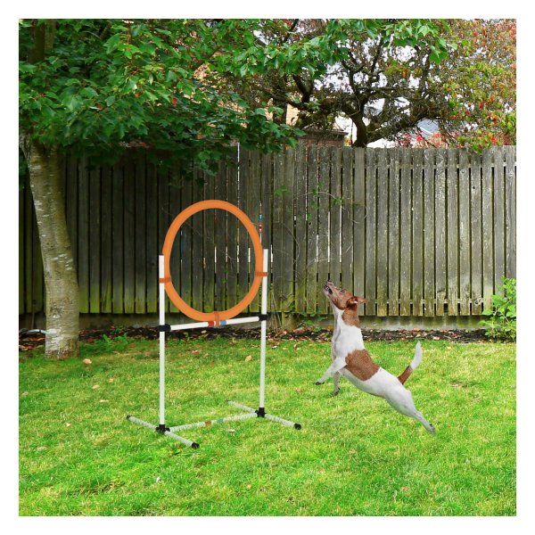 Hondentrainingsset – AgilityFun - Draagbaar – Springring - Wit