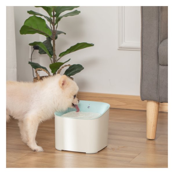 Drinkfontein – PetSafe - Automatische en Slimme - Wit