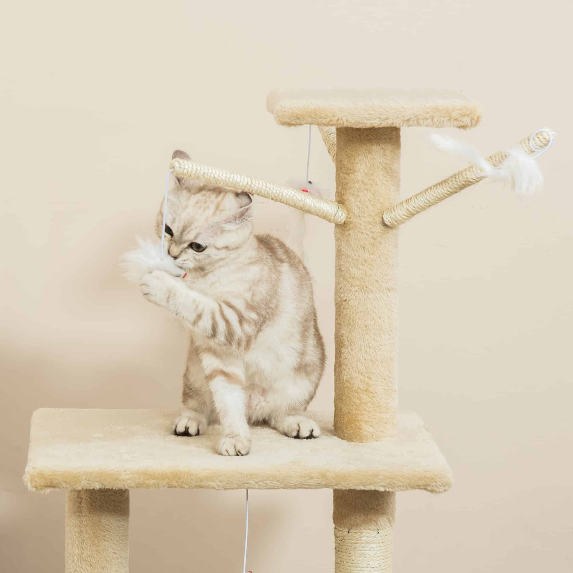 PawHut Kattenboom Krabpaal Met Klimboom, Slaapnest En Speelgoed - Beige, 40 X 30 X 131 Cm