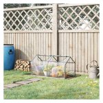 Beschermhoes - Tomatentuin - Met raam - Transparant