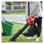 Bladzuiger - Krachtige zuigkracht - Grote opvangzak - Groen
