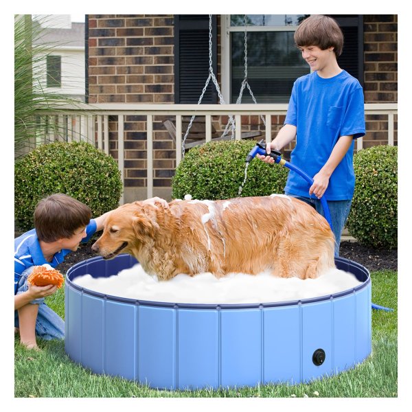 Honden zwembad met peddels - Trendy design - Houtskoolzwart