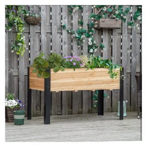 Plantenbak - Vijverbestendig - Robuust - Natuurlijk