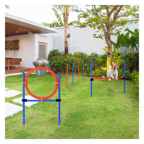 Behendigheidstrainingsset - PetJoy - Inclusief hondengeleidingsset – Dog Sport Training – Blauw+Rood