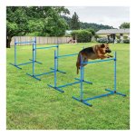 Hondentraining - AgilityBox - Hindernissen - Plastic - Blauw