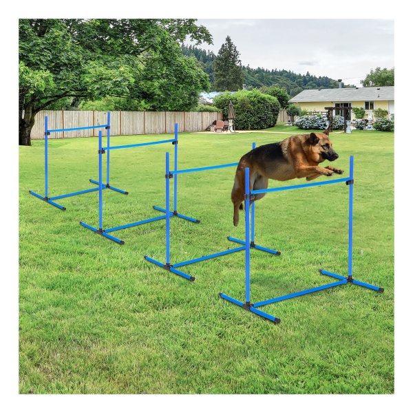 Hondentraining - AgilityBox - Hindernissen - Plastic - Blauw