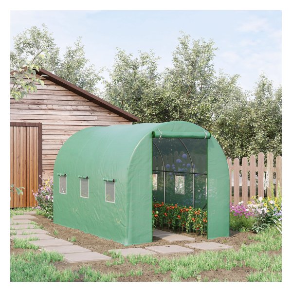 Graskas - Tomaat - Folie-omhulsel - Vroege slaapbeleving - Groen