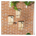 Vleermuizenkasten - Nestkasten - Sparrenhout - Natuurlijk