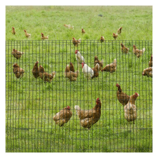 Draadhek - Sterk en duurzaam - Groen
