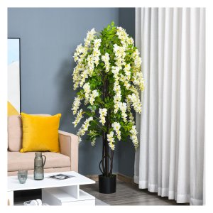 Nepplant - Wisteria - 1,65 meter - wit