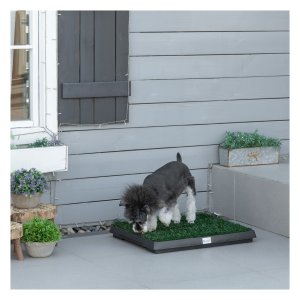 Hondentoilet - PuppyParadijs - Geschikt voor kleine honden - Met grasmat - Groen
