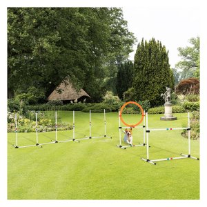 Hondenbehendigheid – Training Fun - Makkelijk mee te nemen – Plastic - Wit en geel
