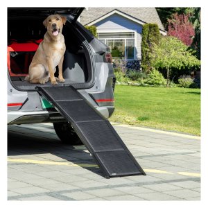 Hondenoprit – Opvouwbaar - Anti-slip – Zwart