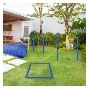 Behendigheidstraining Set - AgilityPets - Inclusief tunnels en hindernissen - Blauw