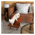 Huisdierentrap - LuxePaws - Veilig en stevig - Modern - grijs