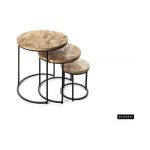 Bijzettafel 'Leo' 3-delig, Structuur metaal, blad exotisch hout mangolia