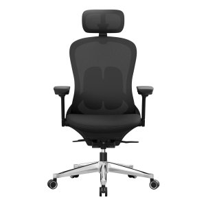 Kantoorstoel - Ergonomisch - Verstelbaar - Zwart