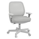 Bureaustoel - Ergonomisch - Draaibaar - Grijs