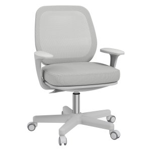 Bureaustoel - Ergonomisch - Draaibaar - Grijs