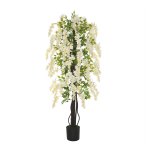Nepplant - Wisteria - 1,65 meter - wit