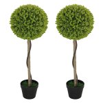 Binnenplanten - Eucalyptusboom - Set van 2 – Inclusief pot - Groen