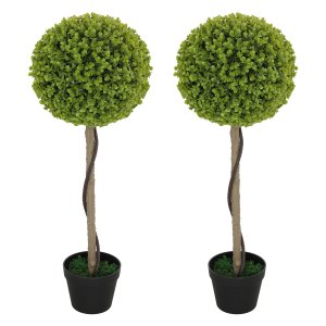 Binnenplanten - Eucalyptusboom - Set van 2 – Inclusief pot - Groen