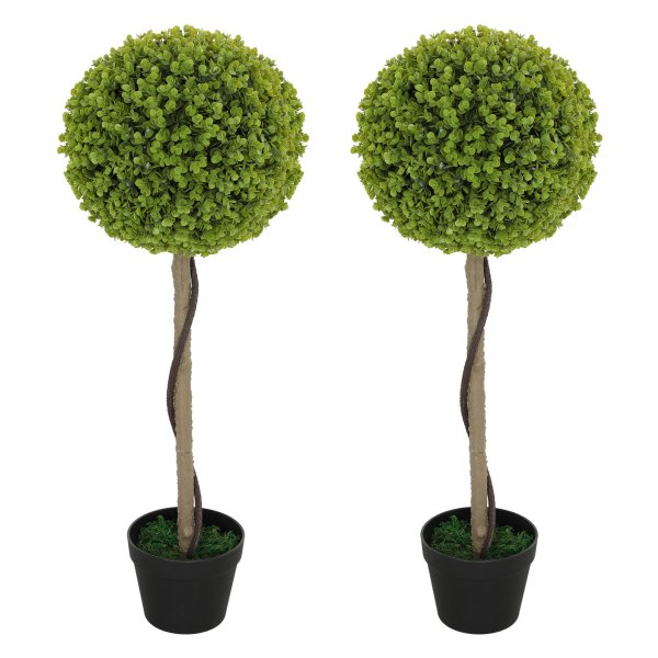 Binnenplanten - Eucalyptusboom - Set van 2 – Inclusief pot - Groen