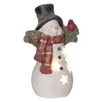 Kerstverlichting - Sneeuwmanlamp - Warmwitte LEDs - Batterijen - wit