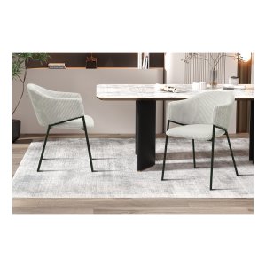 Stoelen - Fluwelen - Lichtgrijs - Elegant - Hugo